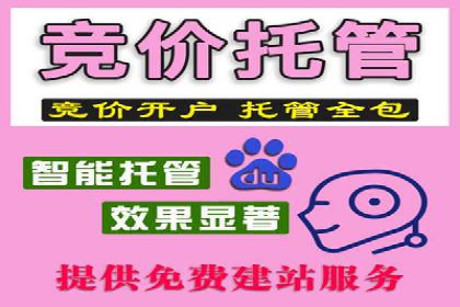 百度SEO推广策略解析：某知名企业的成功经验